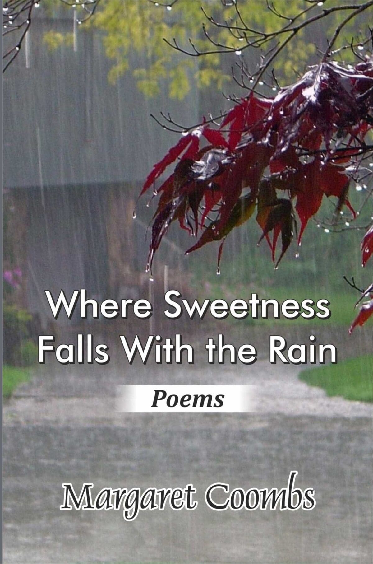 Front cover image of rain falling over foliage